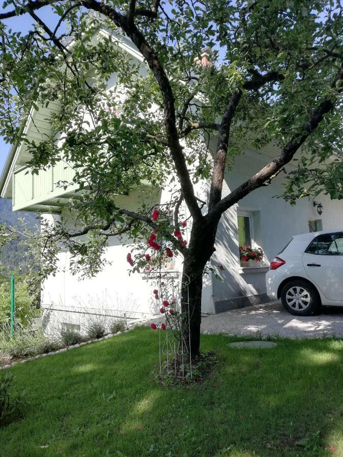 Apartma Neza Блед Екстериор снимка